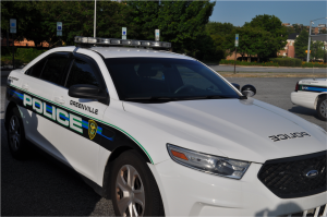 police car 1500x995